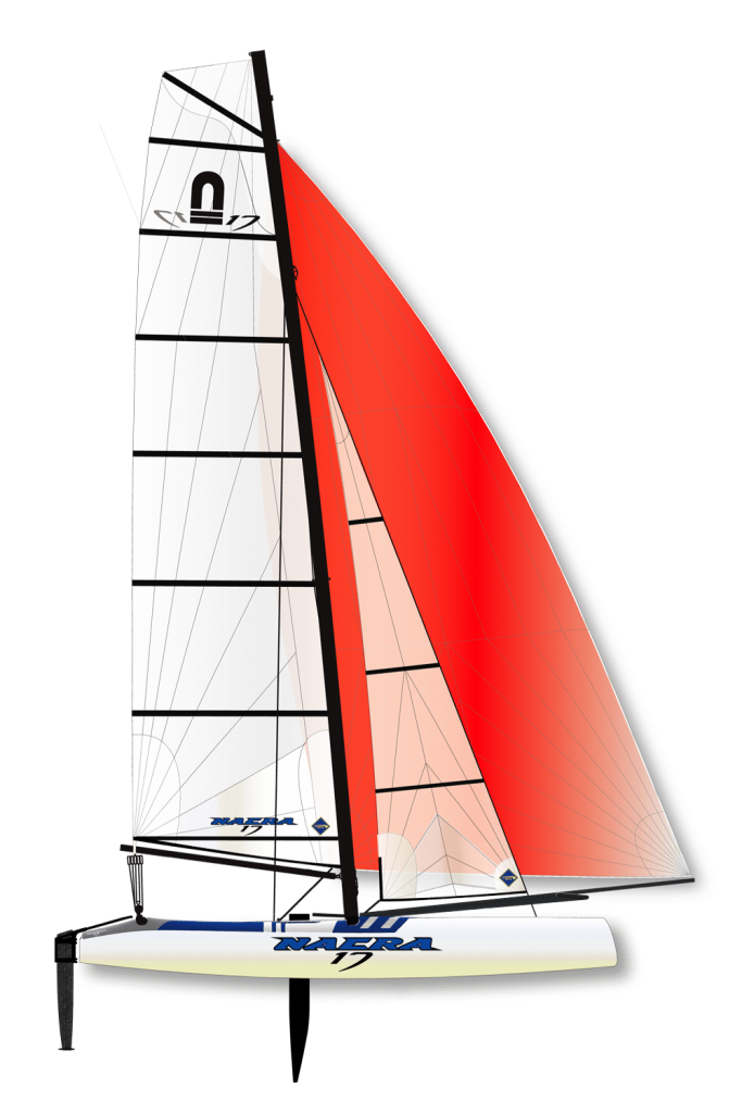 racing catamaran cost